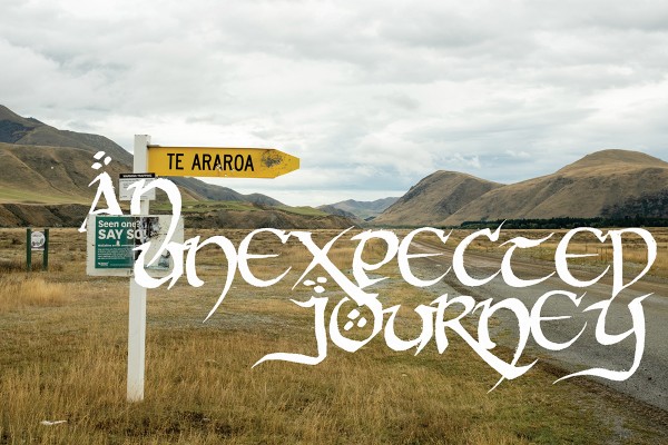 Te Araroa: An Unexpected Journey