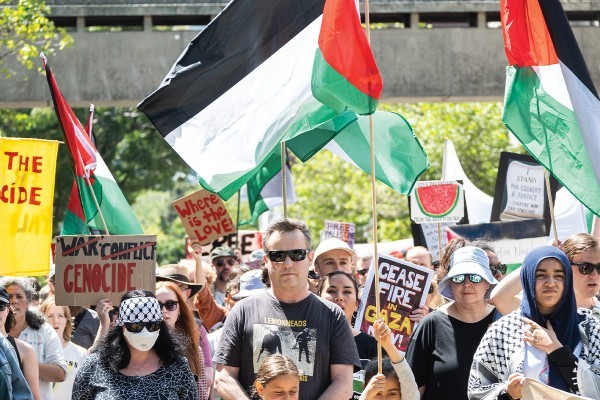 Open Letter Penned in Solidarity with Palestine