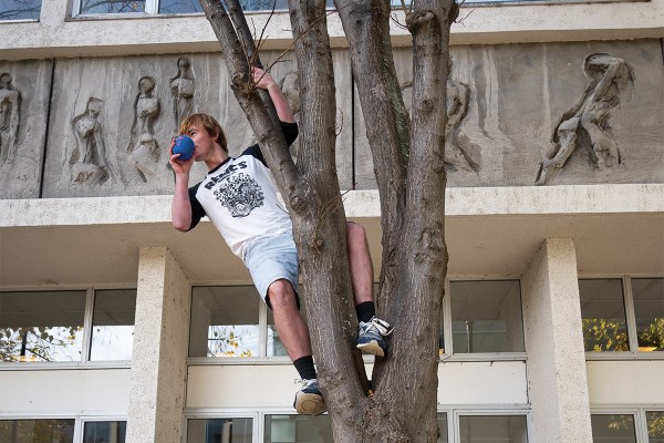 Uni Denies Accusations of Artificial Bird Noises on Campus