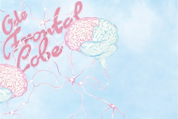 An Ode to the Frontal Lobe